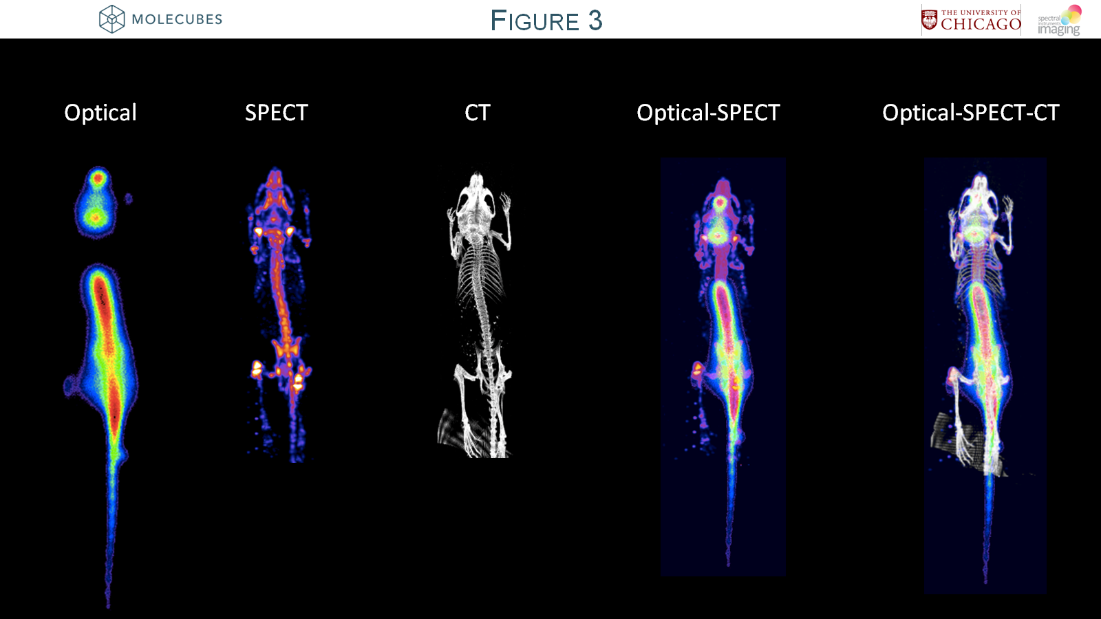 Optical-SPECT-CT.png