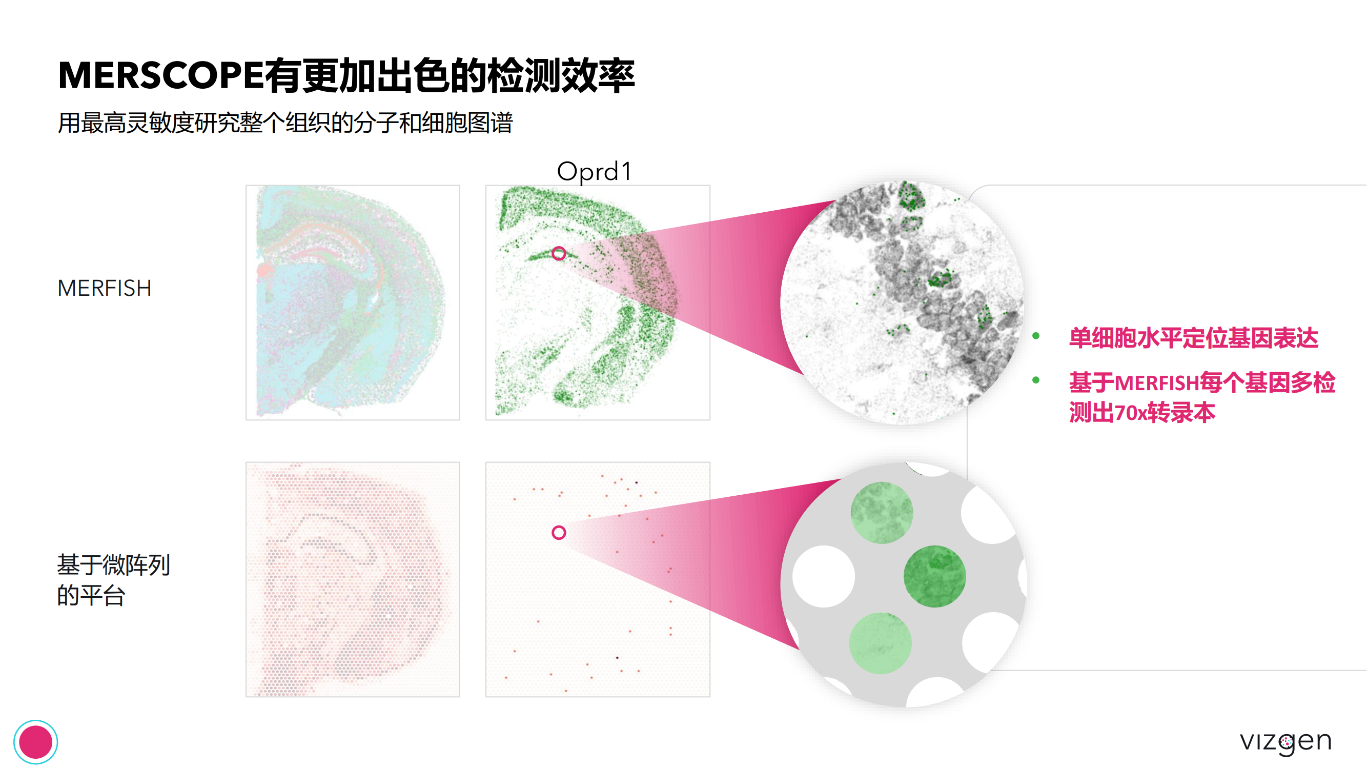 Vizgen intro deck（森西赛智） 20240314(1)_21.png