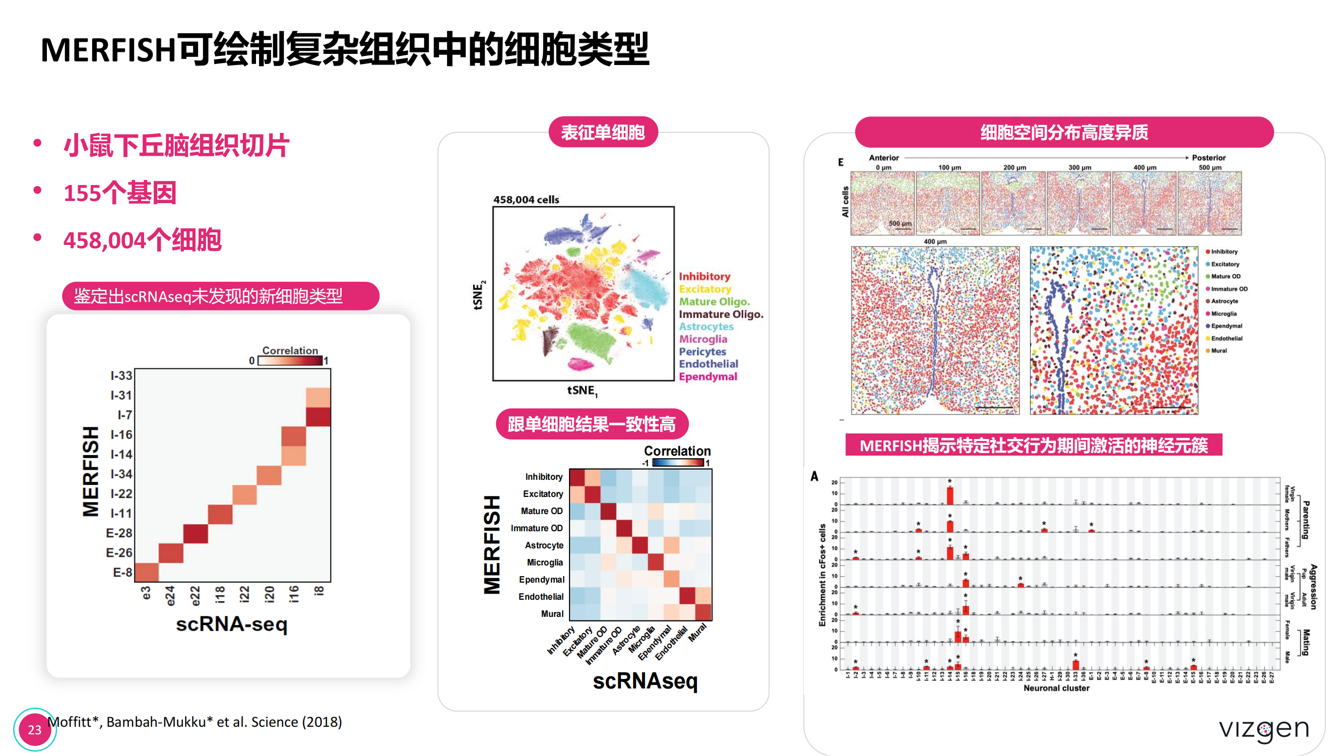 Vizgen intro deck（森西赛智） 20240314(1)_22.png